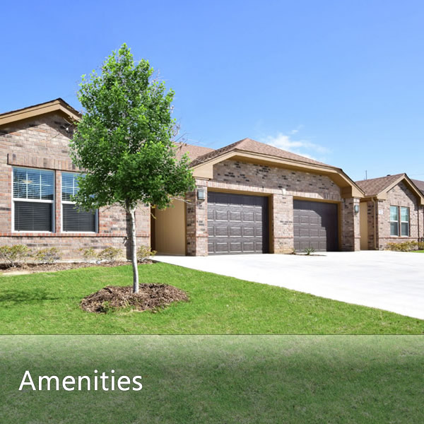 Features and Amenities